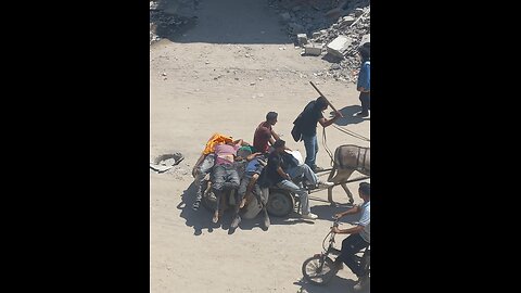 HUNGER AND EMERGENCY CONDITION IN GAZA