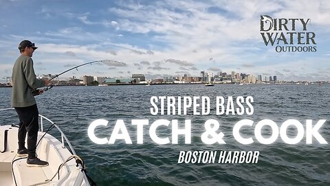 Late Season Striped Bass Catch & Cook, Boston Harbor