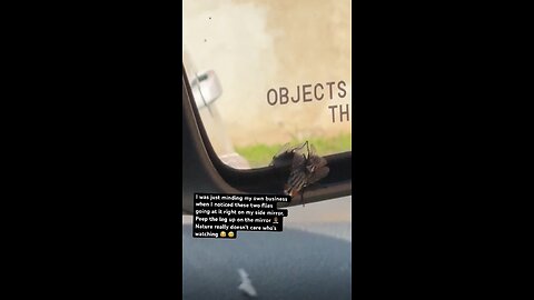 Caught in Action