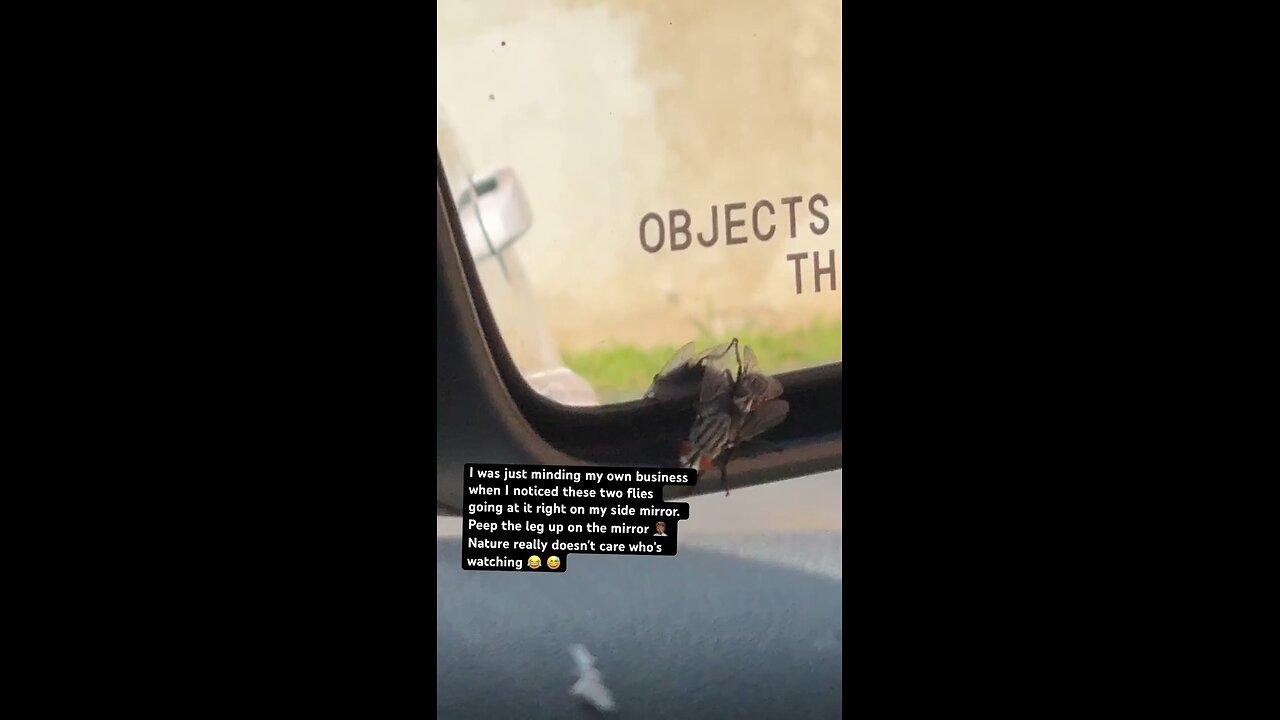 Caught in Action