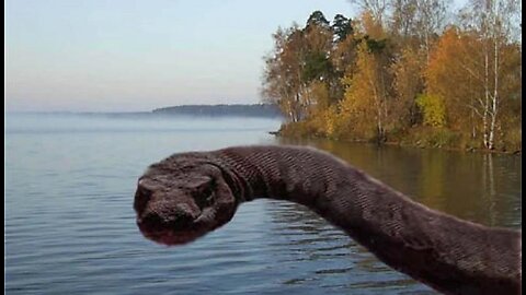 Lake Ladoga Monster