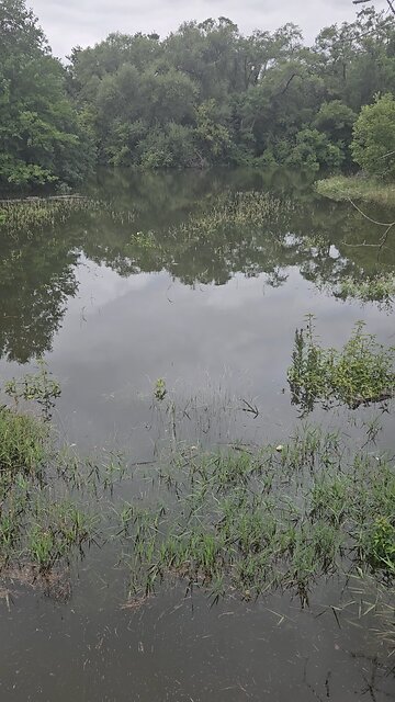 Hopefully the Water Doesn't get any Higher