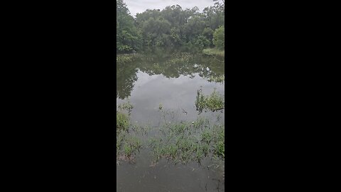 Hopefully the Water Doesn't get any Higher