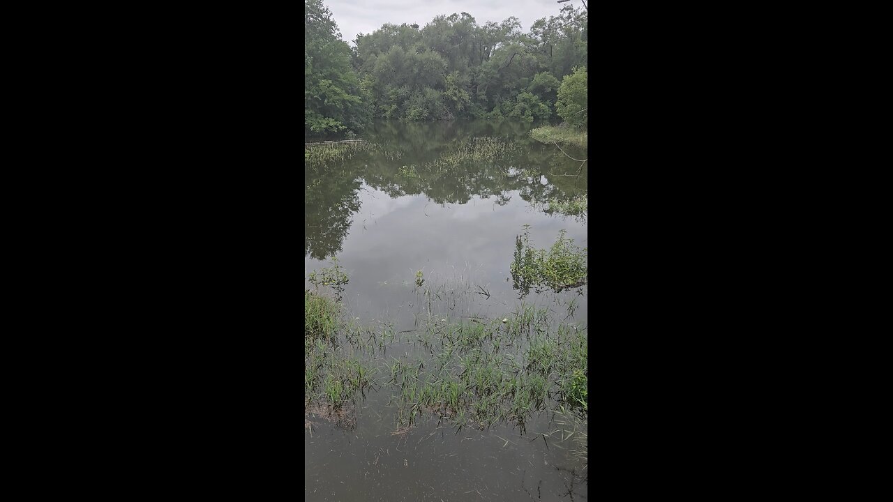 Hopefully the Water Doesn't get any Higher
