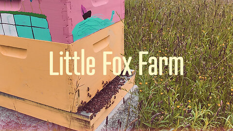 How They Homestead On 5-Acres