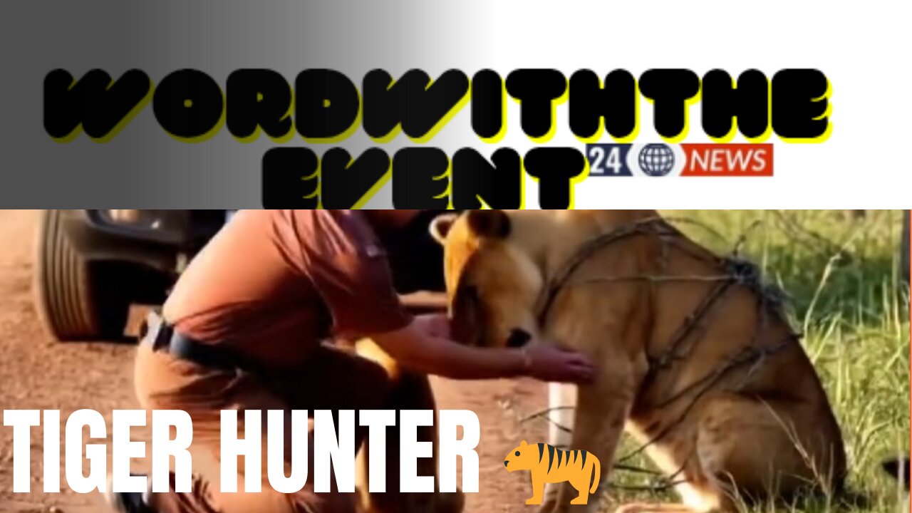 Tiger Hunter 🐅