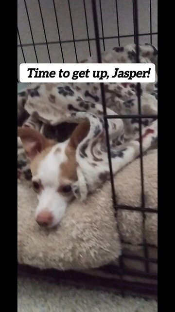 Monday Morning Blues😕