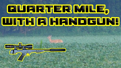Quarter Mile Kill with a Handgun!
