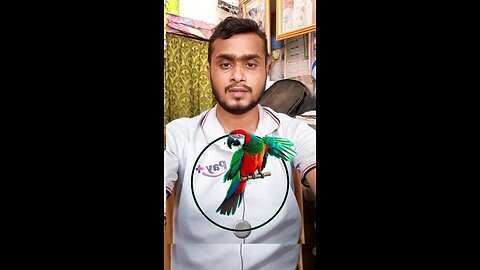 সুন্দর টিয়া পাখির মাথাটি জোড়া লাগিয়ে দেখান #Amazing #puzzle #legend #virals #reels #tiyapakhi