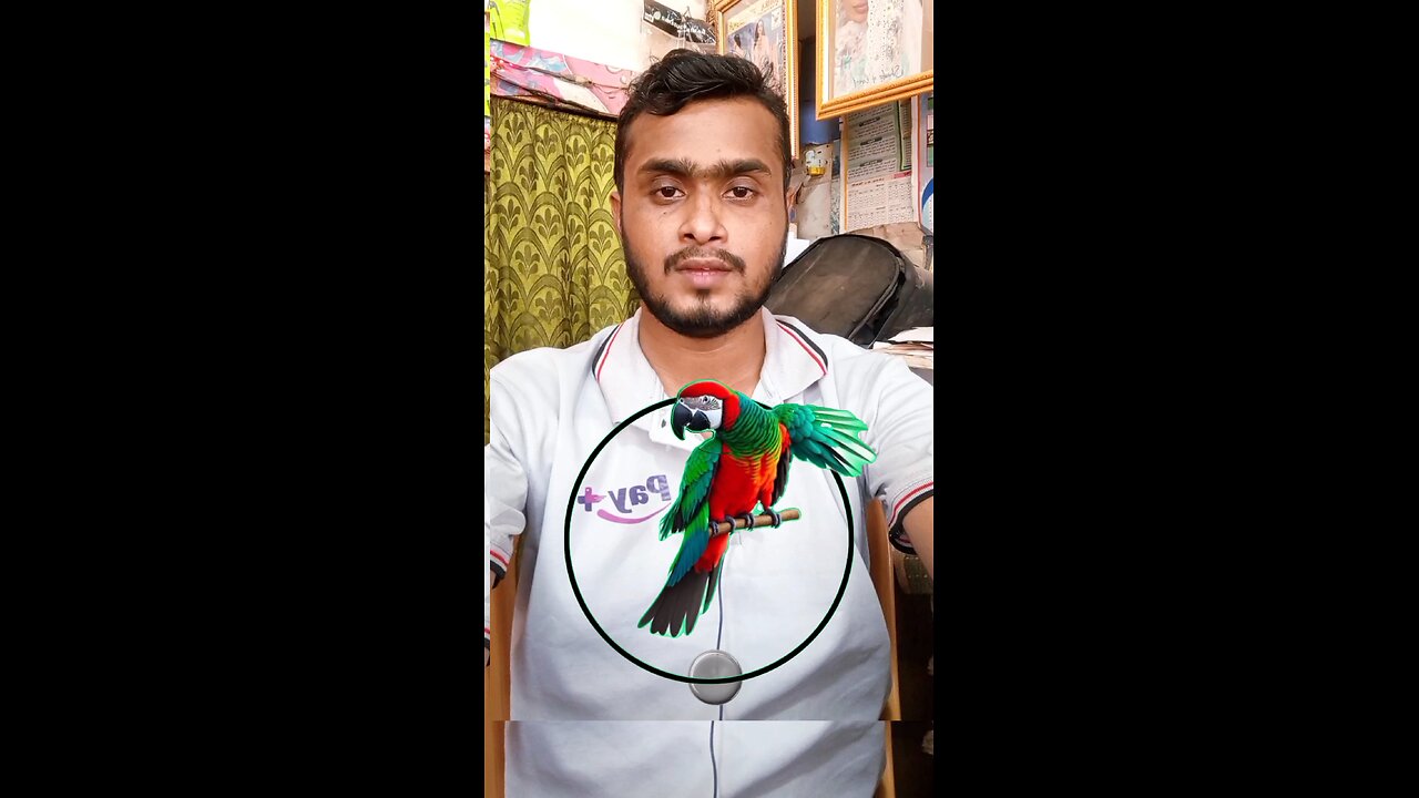 সুন্দর টিয়া পাখির মাথাটি জোড়া লাগিয়ে দেখান #Amazing #puzzle #legend #virals #reels #tiyapakhi