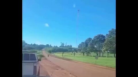 Is This Tree Really Walking? Unbelievable Footage You Won't Believe! 🌳😱