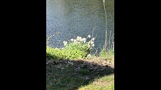 God is good all the time 1354: His Faith Journey to Today