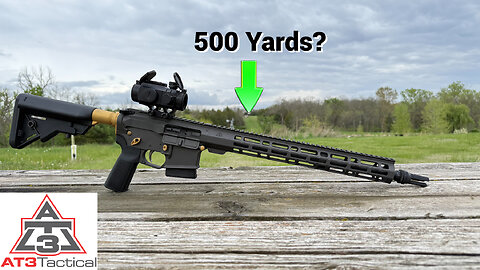 Custom AT3 5.56 AR15
