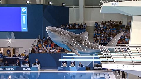 Which Fish Wins Gold | Animal Olympics