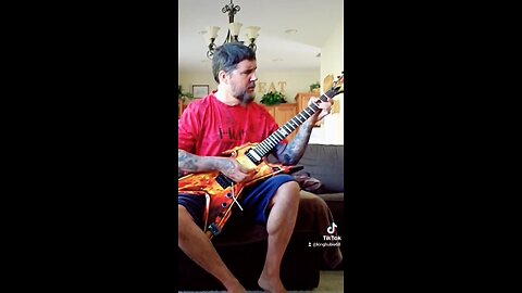 Guitar “Youth Gone Wild”