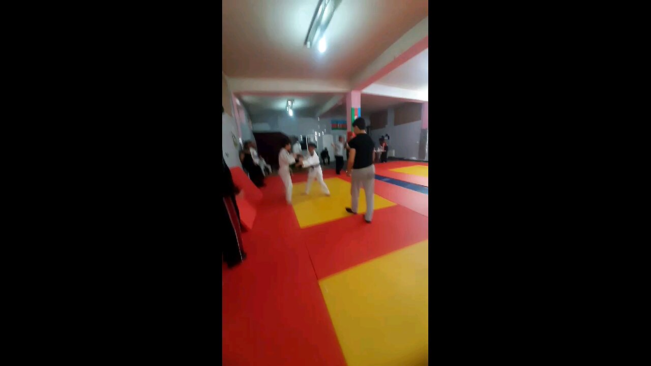 Judo fight
