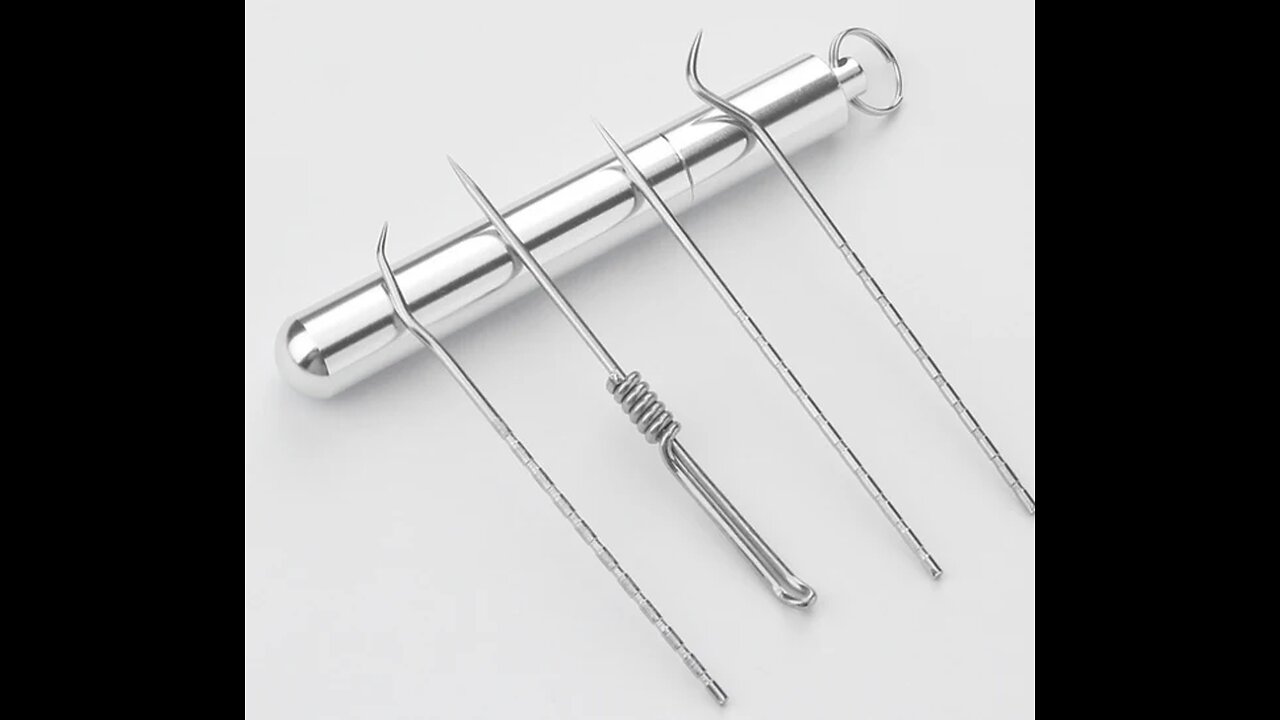 Reusable Metal Toothpick Set, with Metal Storage Bottle, for Outdoors, Travel, Picnic and Camping