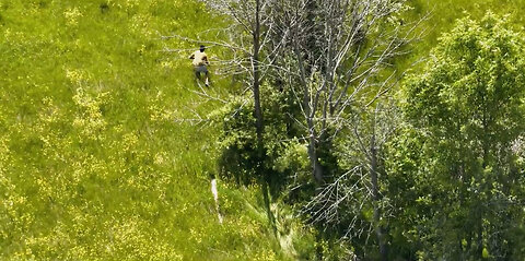 Durham police use a drone to hunt down suspect