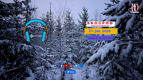 Skogpod 21. januar 2026