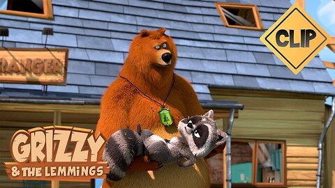 Grizzy finds a baby racoon so cute! -grizzy & the Lemmings