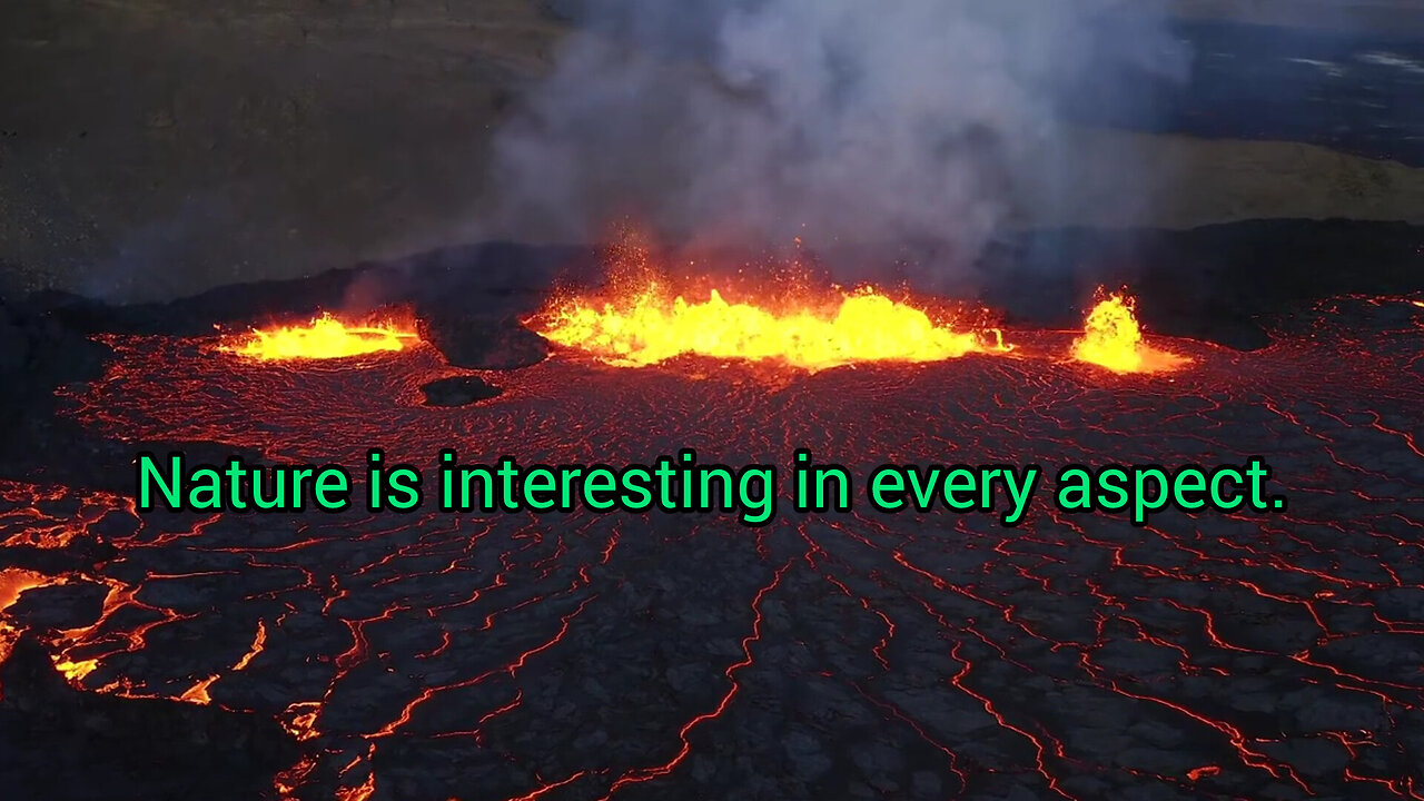 Nature is interesting in every aspect.