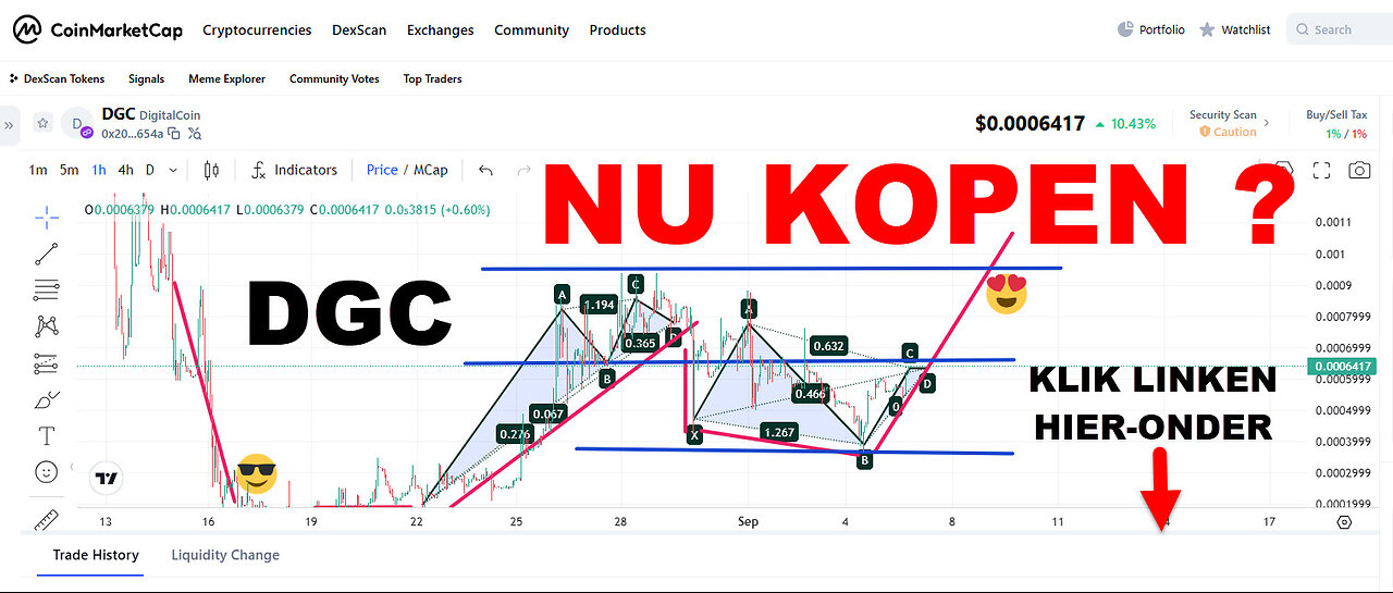 DIGITAL HOLDING (nu kopen of niet ?) DIGICOIN (DGC) AI CRYPTO WINSTEN - TOP TEAM ROB BUSER