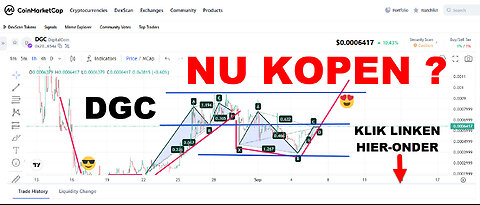 DIGITAL HOLDING (nu kopen of niet ?) DIGICOIN (DGC) AI CRYPTO WINSTEN - TOP TEAM ROB BUSER