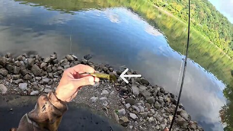 { SPECIAL } " The Heart Break Off " feat: 4" BPS flippin' tube