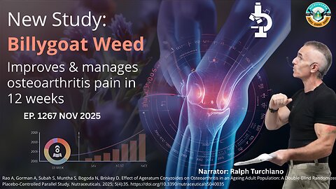 New Study: Billygoat Weed Improves Osteoarthritis Pain in 12 Weeks Ep. 1267 NOV 2025