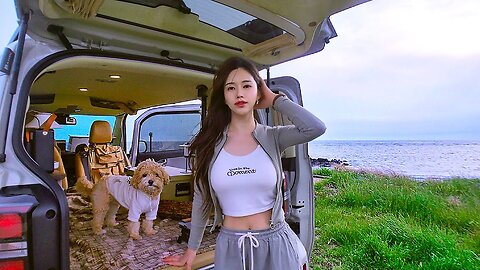 Camping in a Ray Campervan with a dog in front of the blue sea