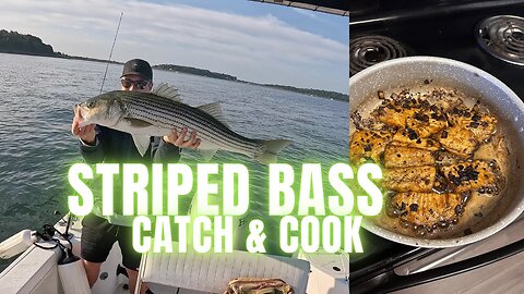 the BEST Striped Bass recipe! | Striped Bass Catch and Cook