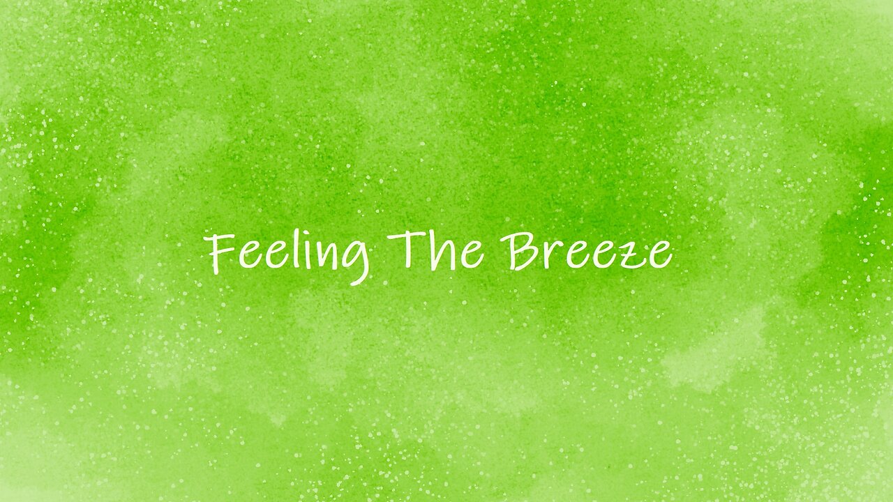 Feeling The Breeze