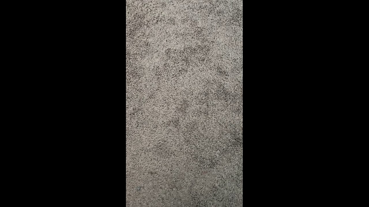 Test 50
