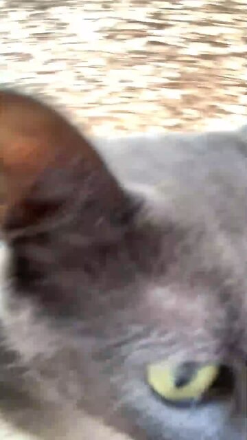 🤷🏽‍♂️ I’m Just A Nature Boy 👨🏽‍🌾