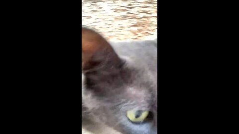 🤷🏽‍♂️ I’m Just A Nature Boy 👨🏽‍🌾