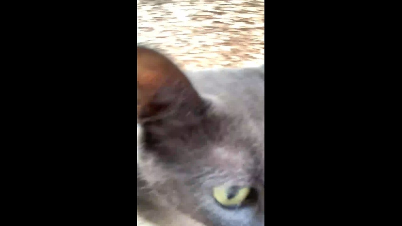 🤷🏽‍♂️ I’m Just A Nature Boy 👨🏽‍🌾