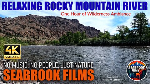 Relaxing Rocky Mountain River: Wilderness Ambiance