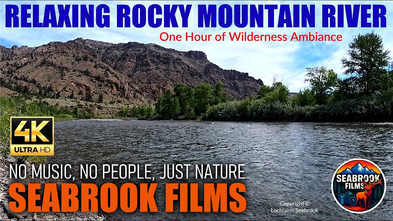 Relaxing Rocky Mountain River: Wilderness Ambiance