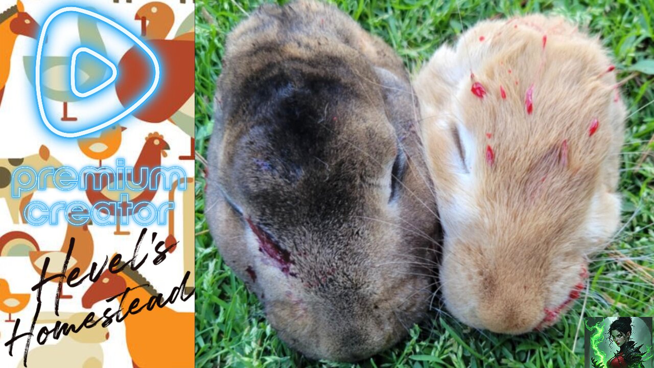 Homestead Hevel: Rabbit Rampage! Premium Only -WARNING - GRAPHIC CONTENT - VIEWER DISCRETION!
