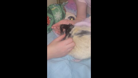 Tupy and Kids
