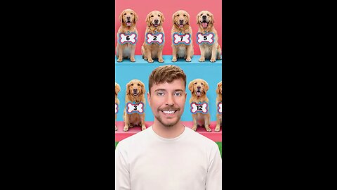 Find Your Dog, Win $10,000🐕