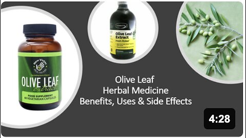 Olive Leaf - Herbal Medicine - Benefits, Uses & Side Effects