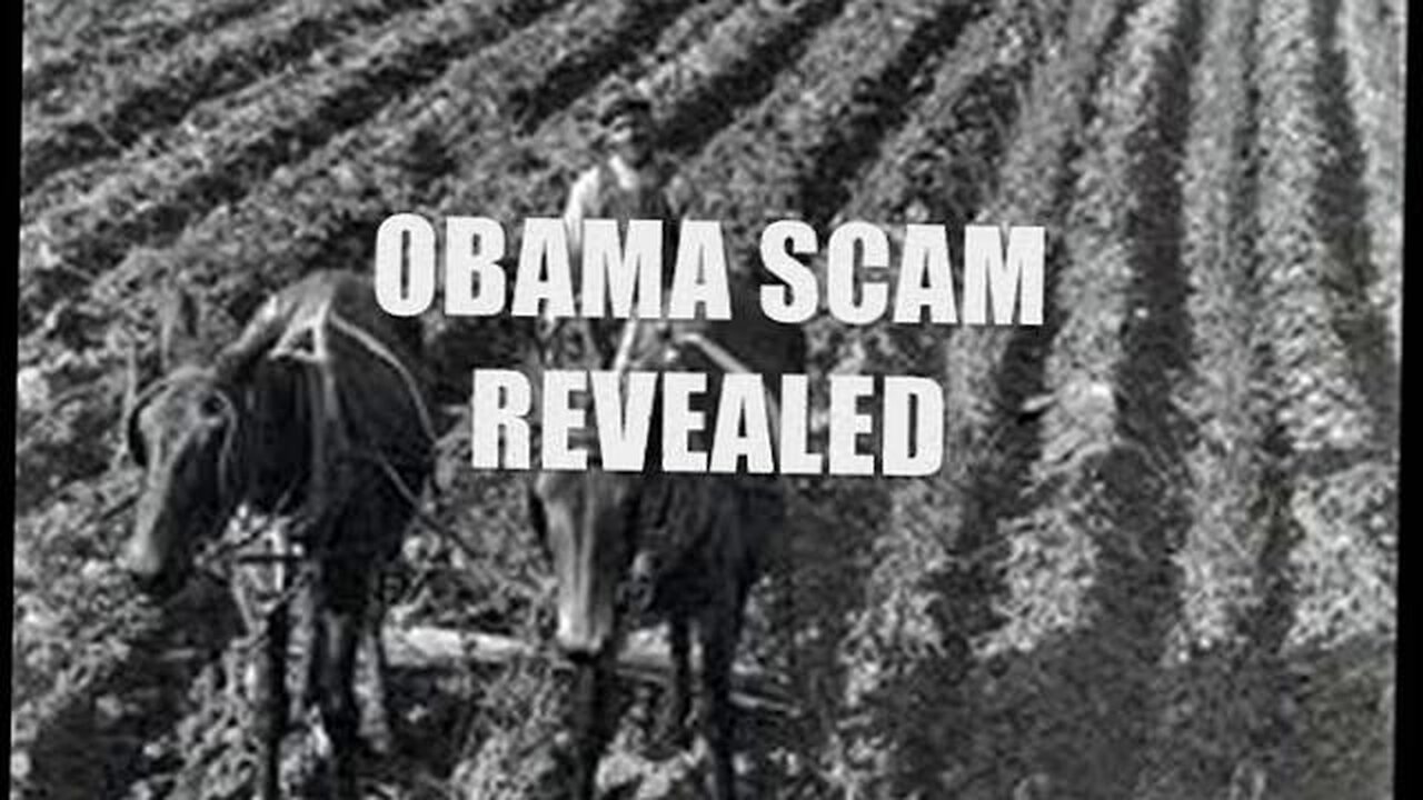 THE END IS AT HAND ⚧ THE BATHHOUSE BARRY SCAM REVEALED