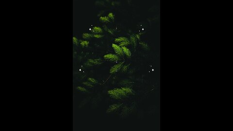 Hadees e nabvi (saw) #islam #viralvideos #islamicreminders #prophetmuhammadsaw #hadeesenabvi