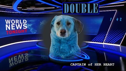 the Captain of Her Heart, Double