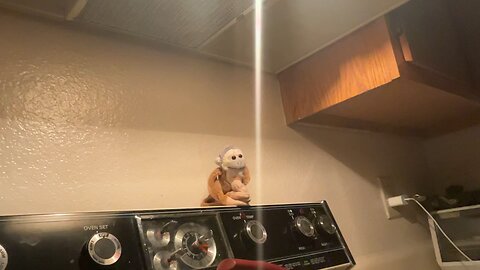 My mothers stupid oven