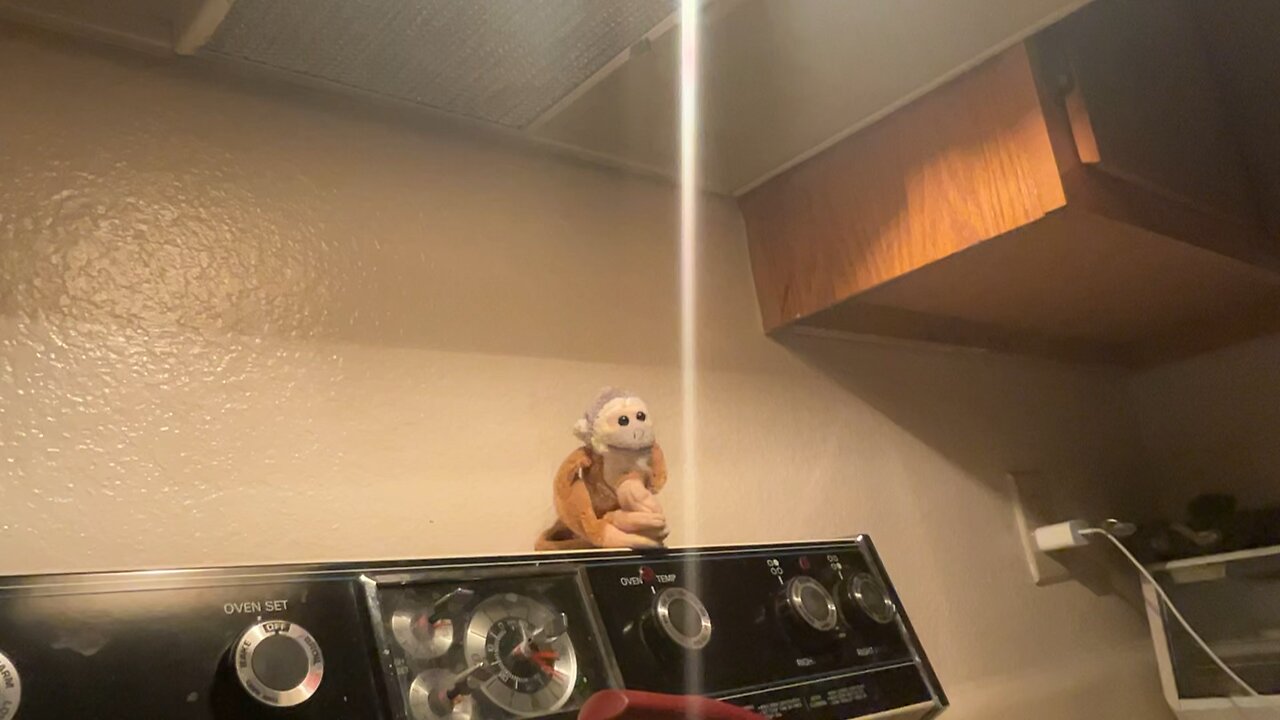 My mothers stupid oven