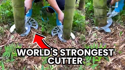 Bamboo cuter #agriculture #farming