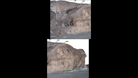 dragón 🐲🐉 petrificado