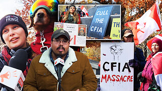 'Cull the CFIA': Patriots in Toronto organize farmers’ protest after ostrich massacre